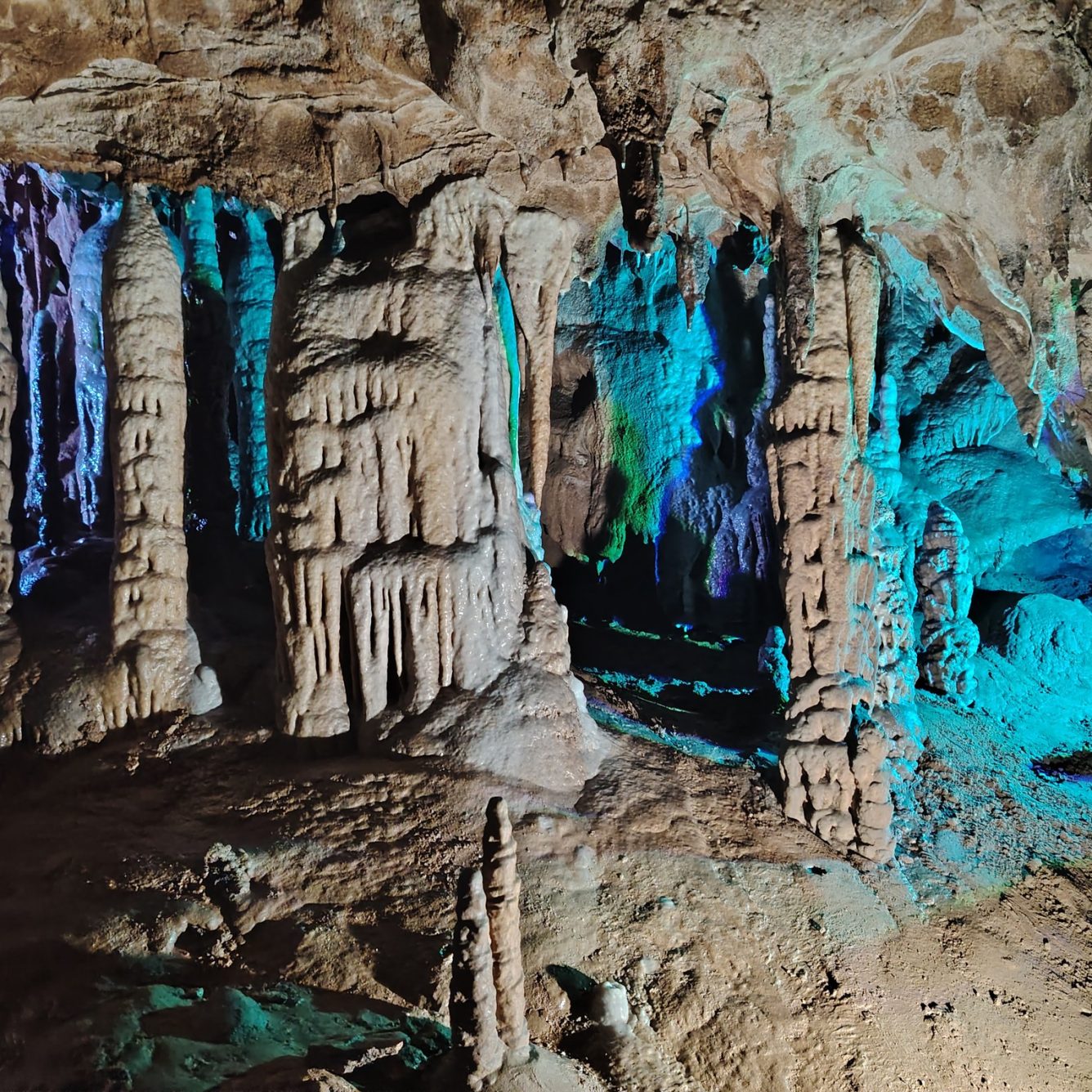 551053199_1102450572095725_6957933509354139218_n