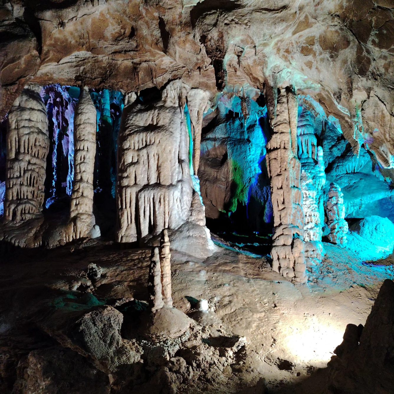 574297768_1131965832477532_2718359405611546129_n