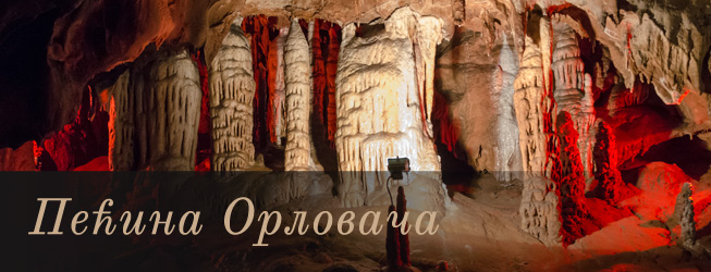 орловача